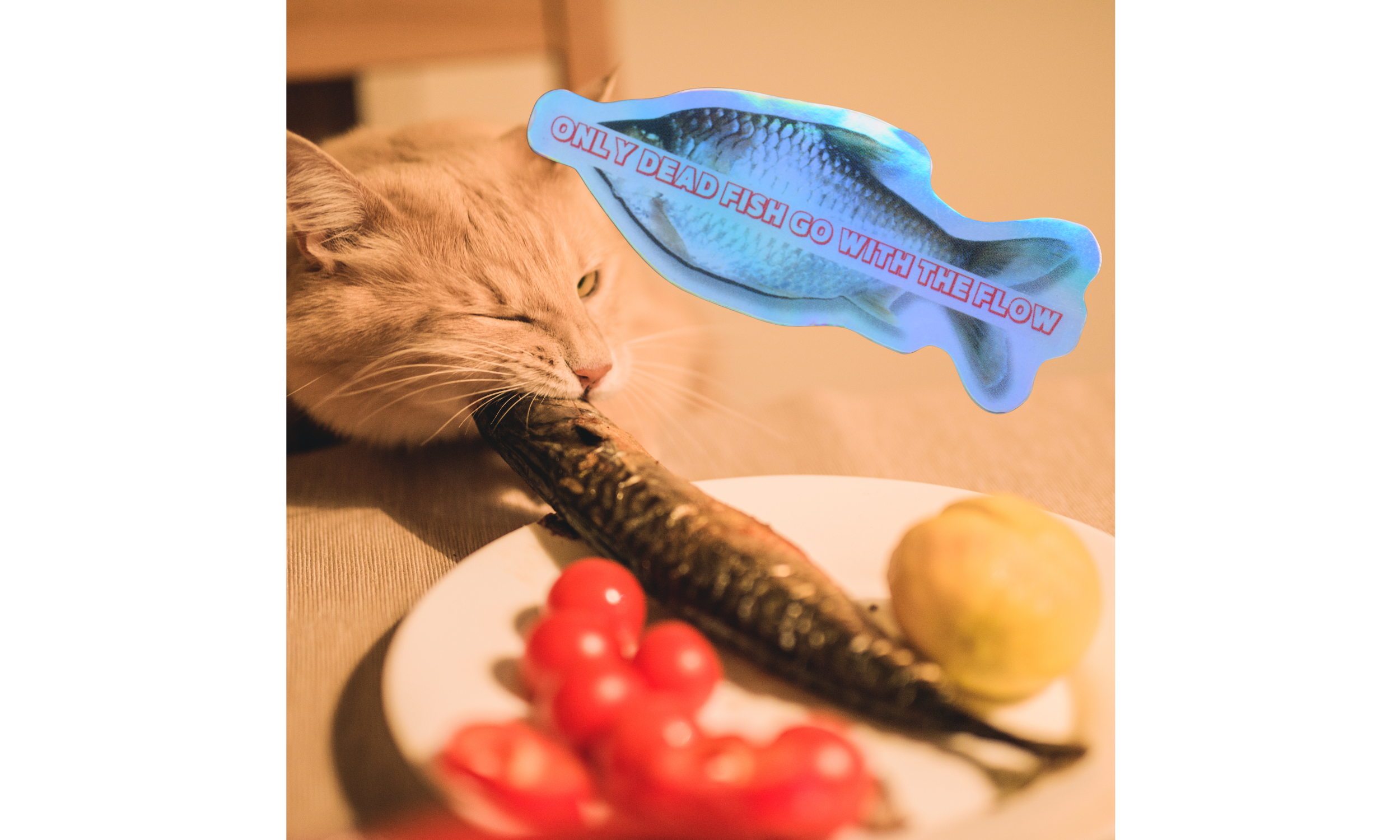 Dead Fish