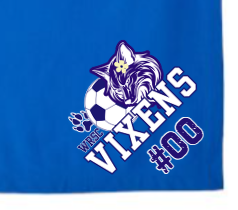 Stadium Blanket - Vixens