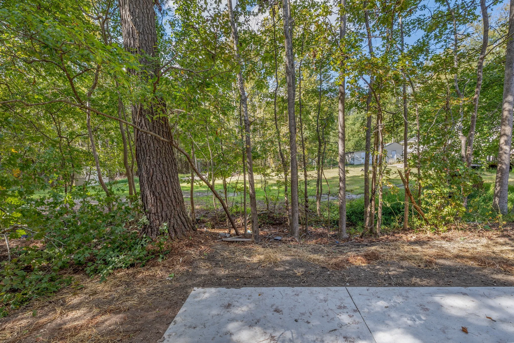 Copy of 31-web-or-mls-Photo Oct 19 2023, 12 15 11 PM.jpg