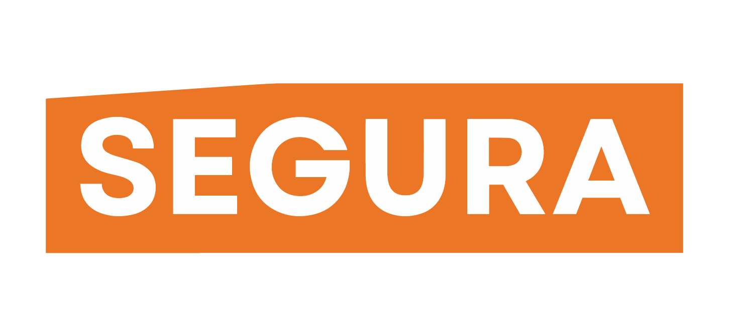 Segura for New York State Assembly