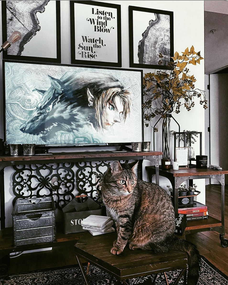 How to Decorate Your Apartment &amp; Make Your Personality Shine