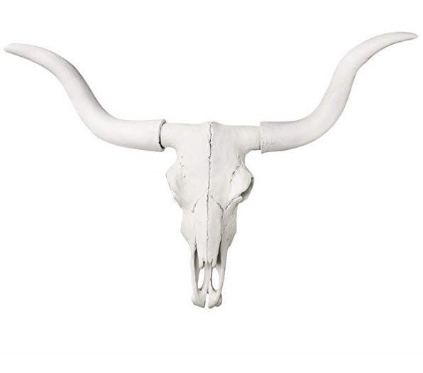 Amazon - White Faux Longhorn Skull