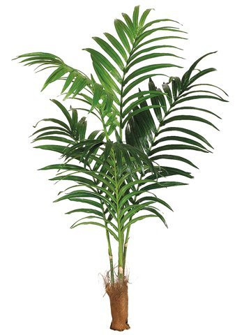 Amazon - ONE 7' Artificial Tropical Kentia Palm Tree with No Pot