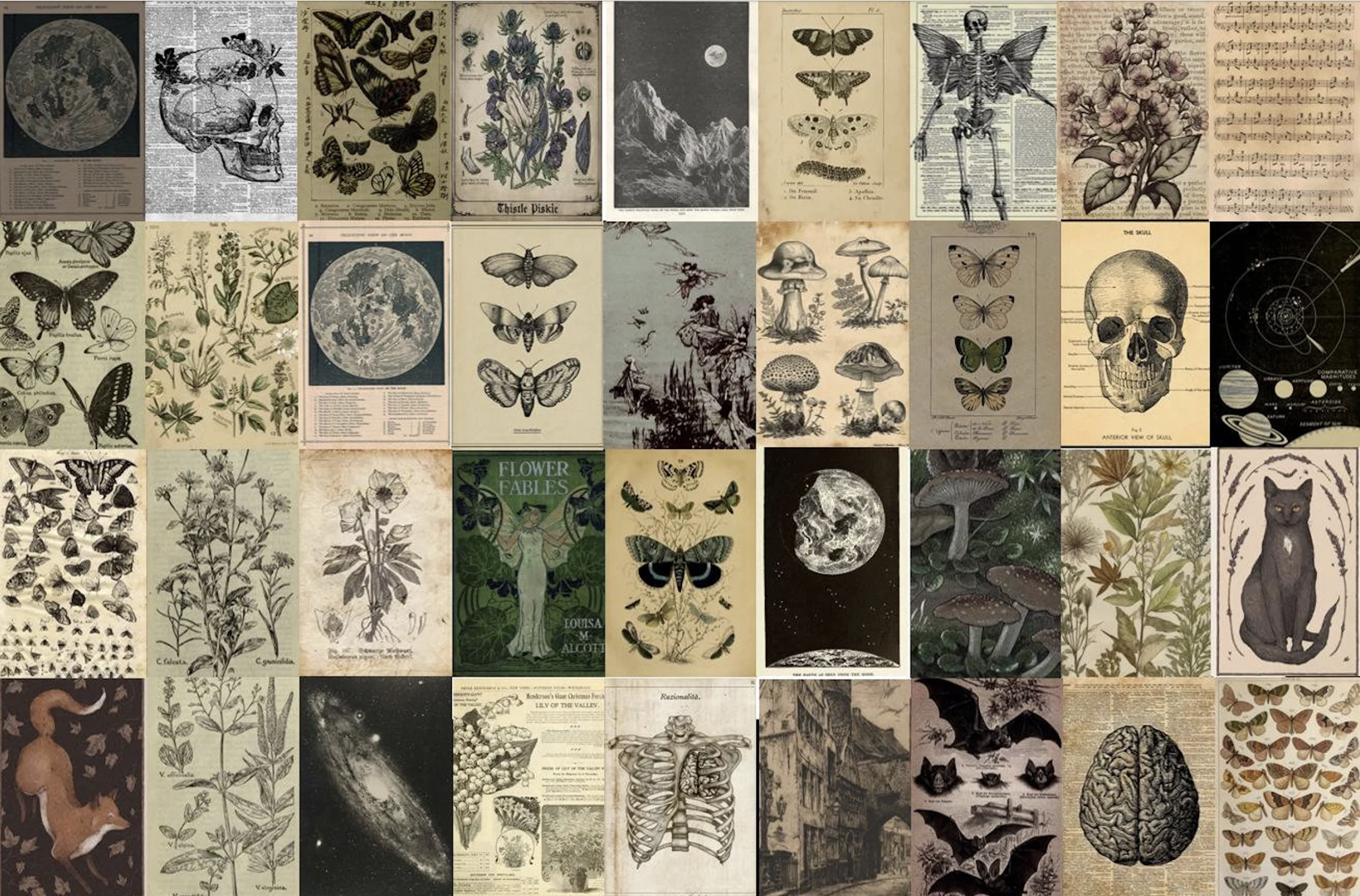 grunge fairycore - wall decor 2.png