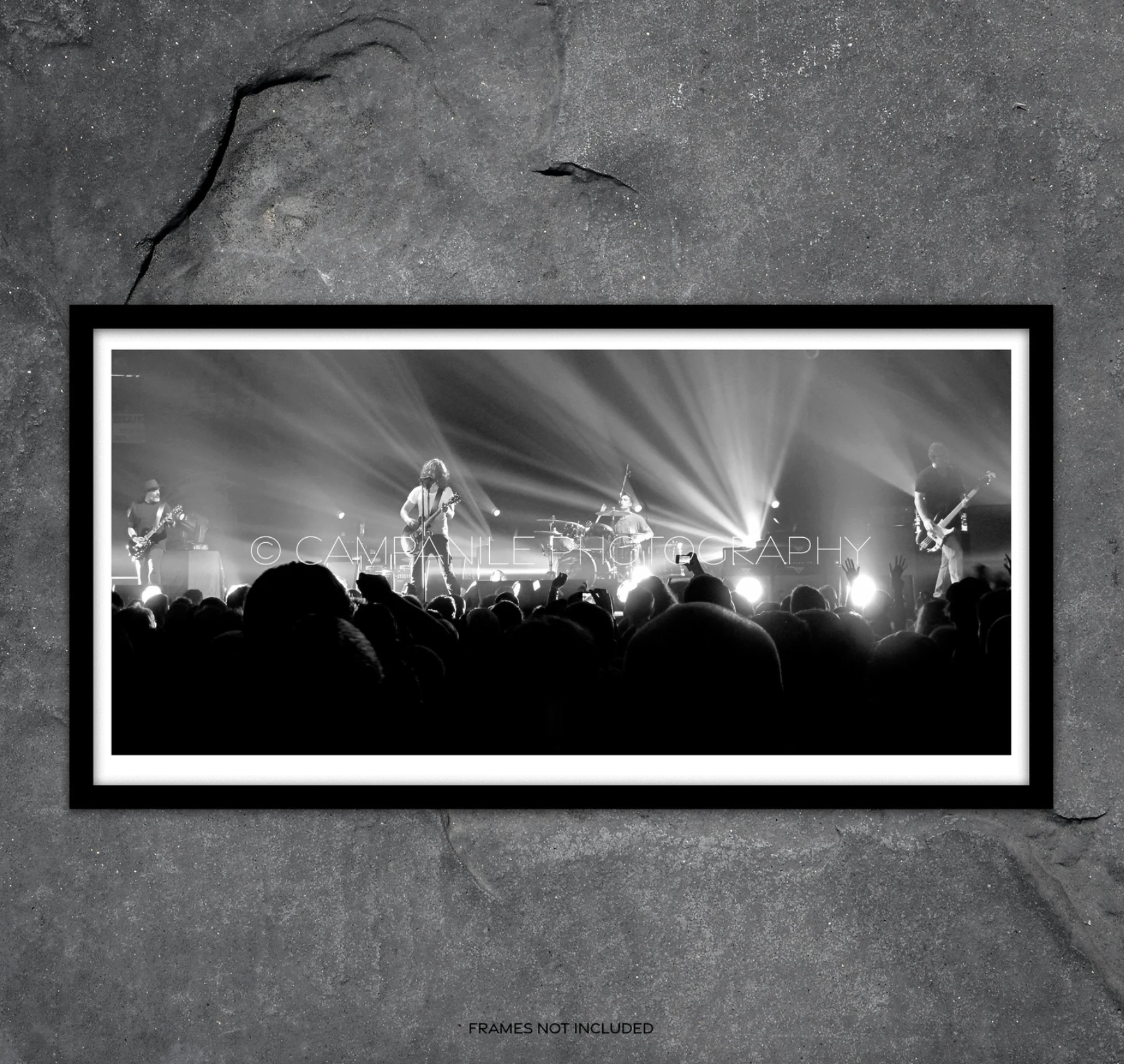 grunge fairycore - wall decor 5.png