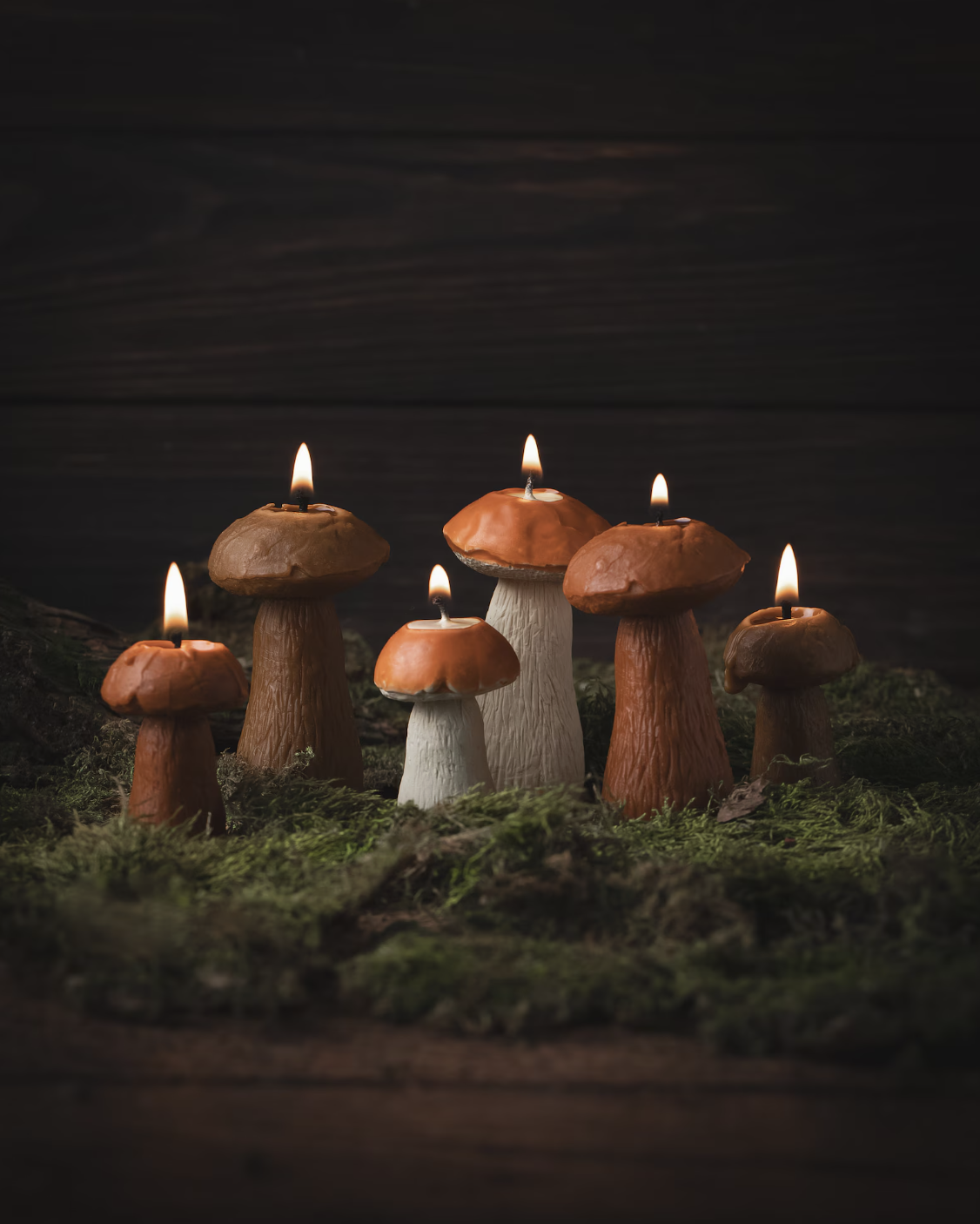 goblincore decor ideas - accents 6.png