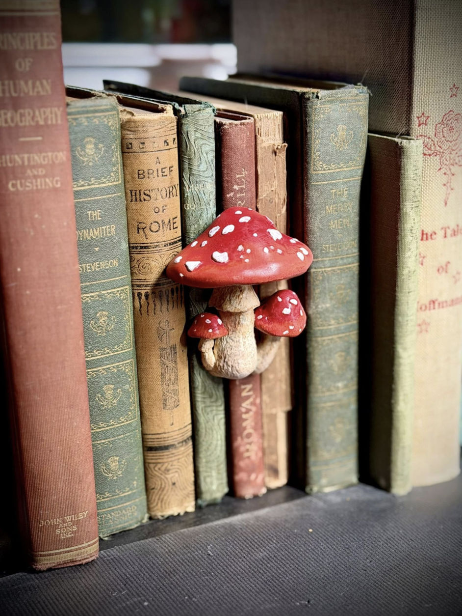 goblincore decor ideas - accents 7.png