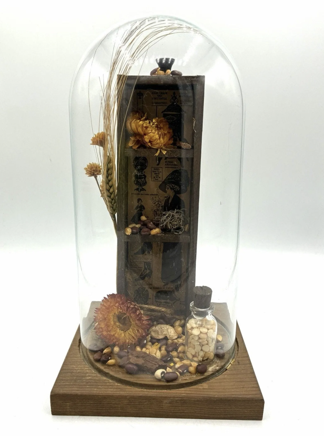 witchy kitchen apothecary - cloche 1.png