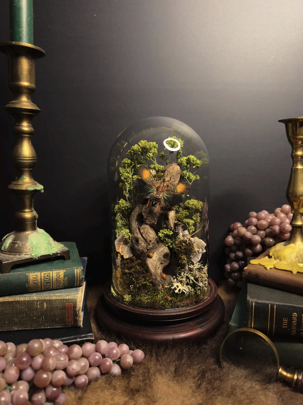 witchy kitchen apothecary - cloche 3.png