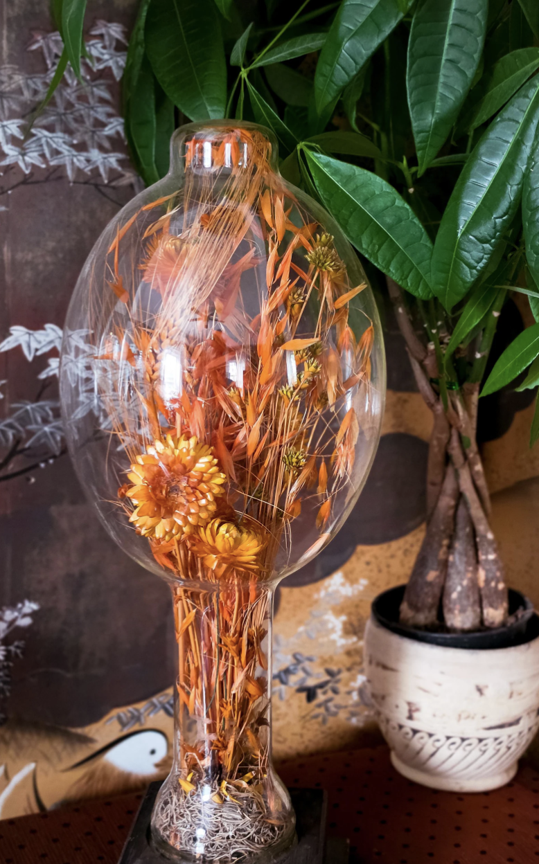 witchy kitchen apothecary - cloche 6.png