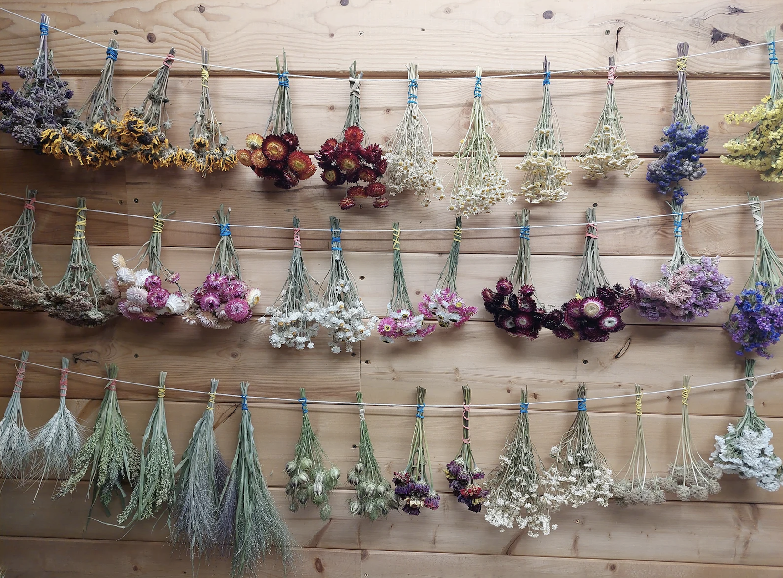 witchy kitchen apothecary - floral 5.png