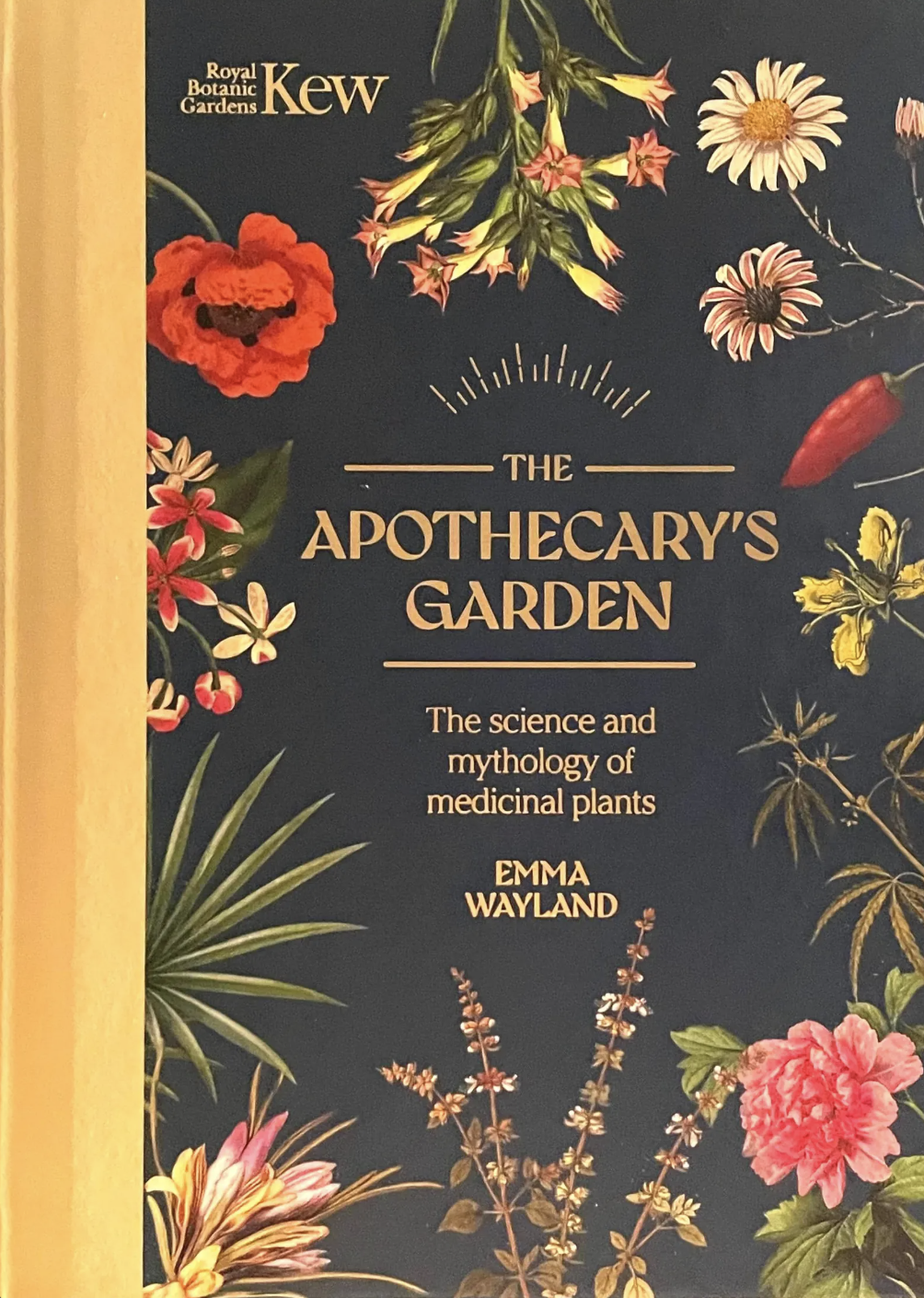 witchy kitchen apothecary - misc 7.png