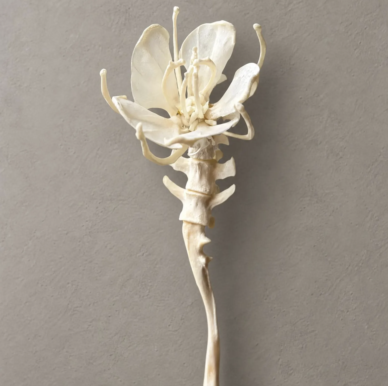 victorian gothic decor 2.png