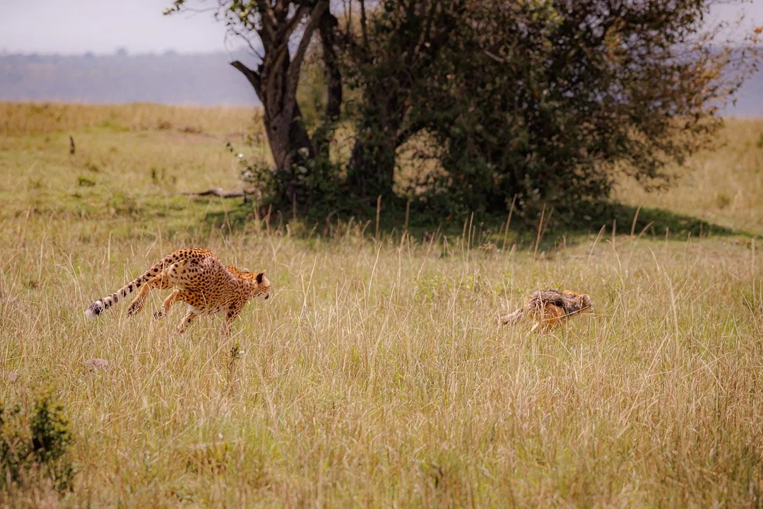  The chase pushed him farther. She wasn’t just warning — she was drawing a line.  
