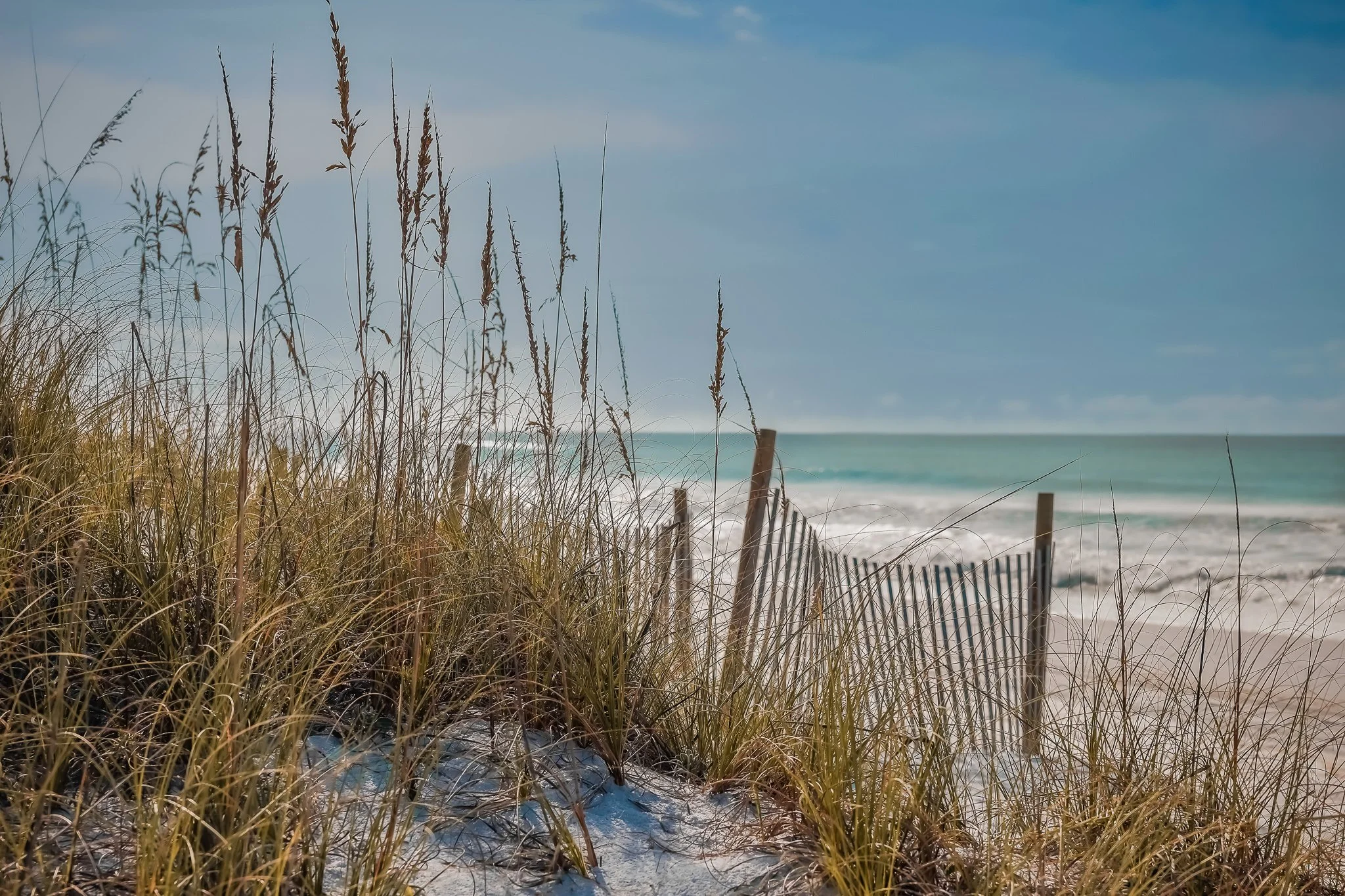 "Coastal Serenity"
