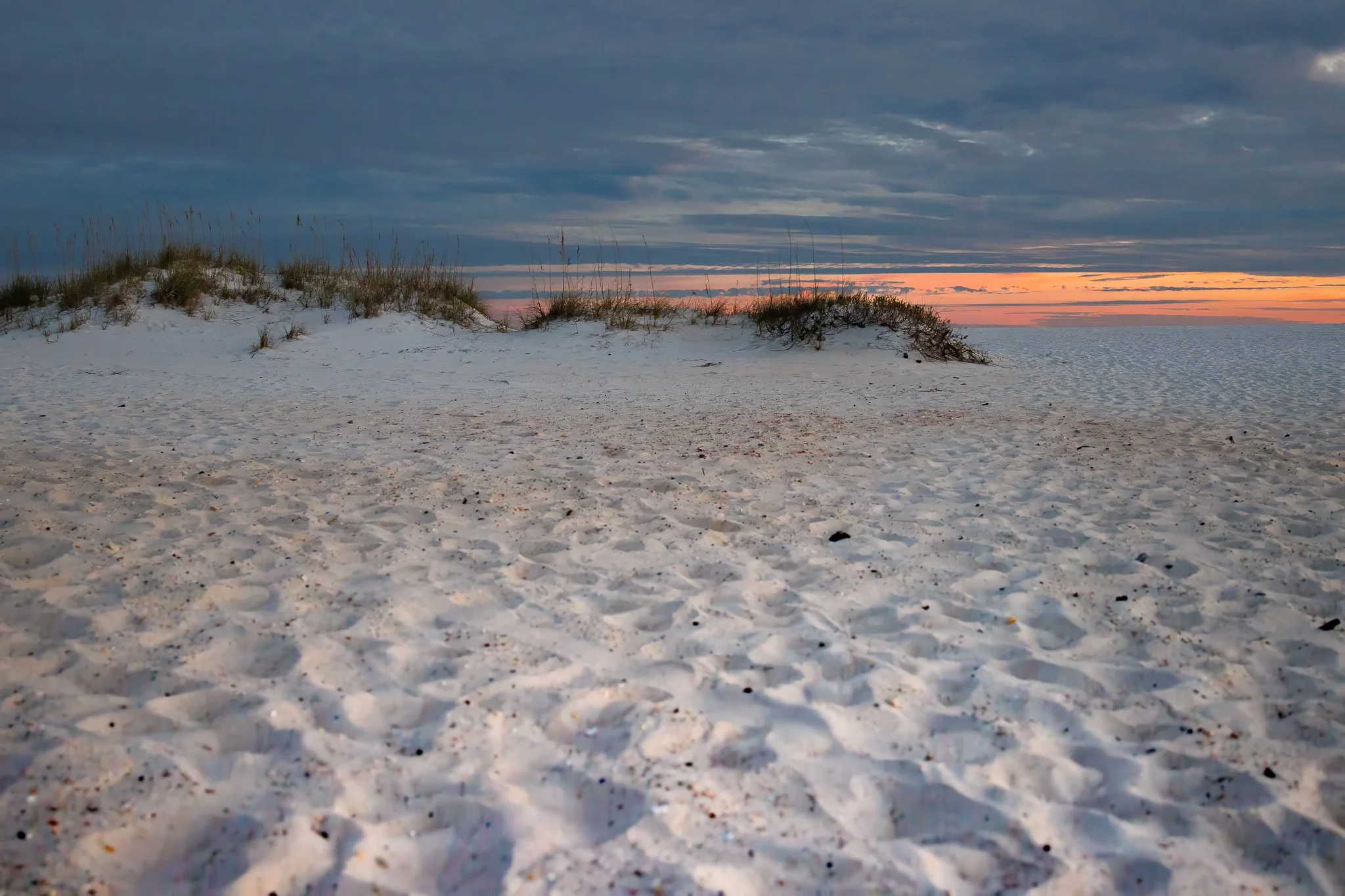 "Gulf Coast Glow"