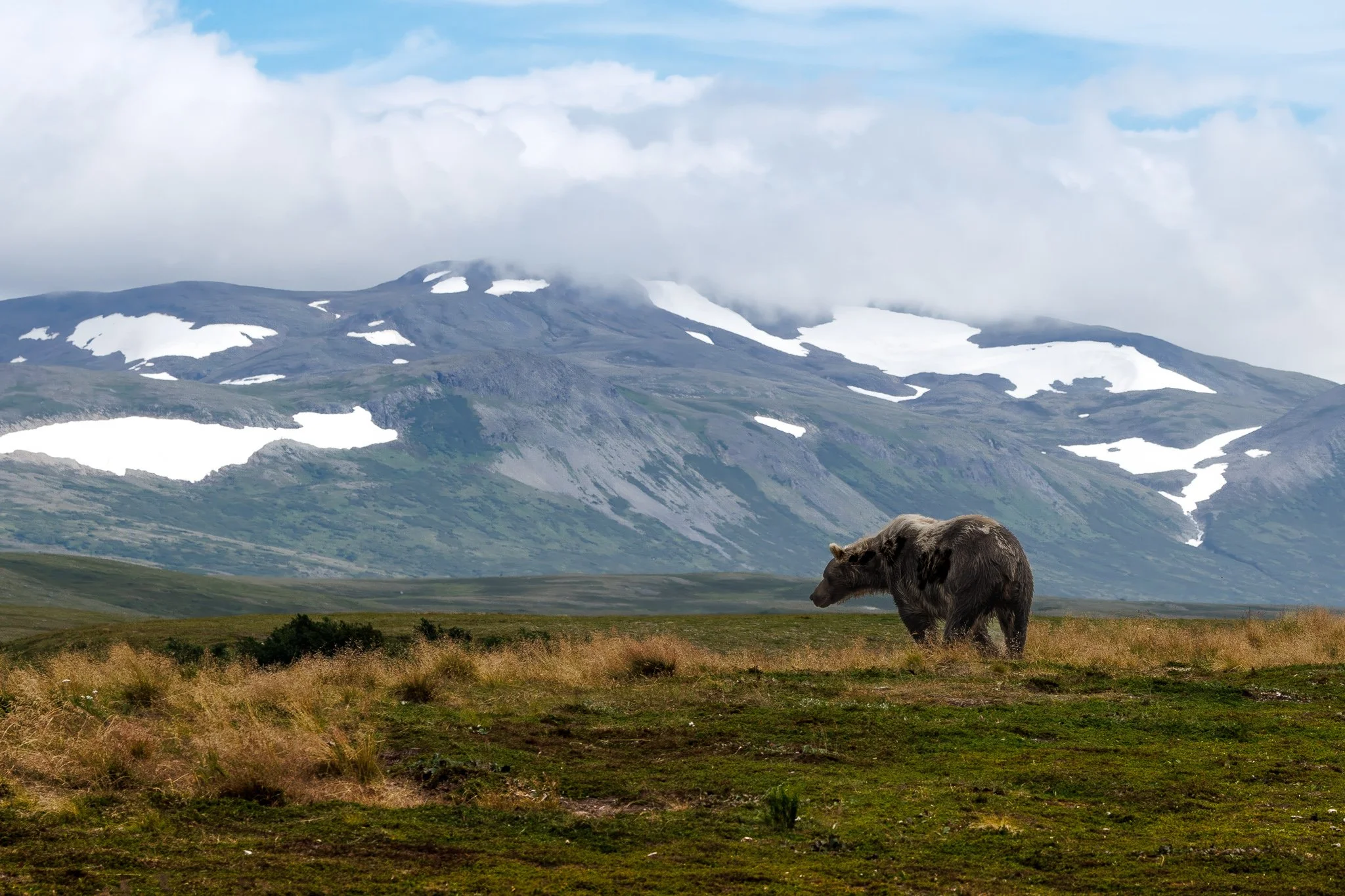 "Solitude on the Tundra"
