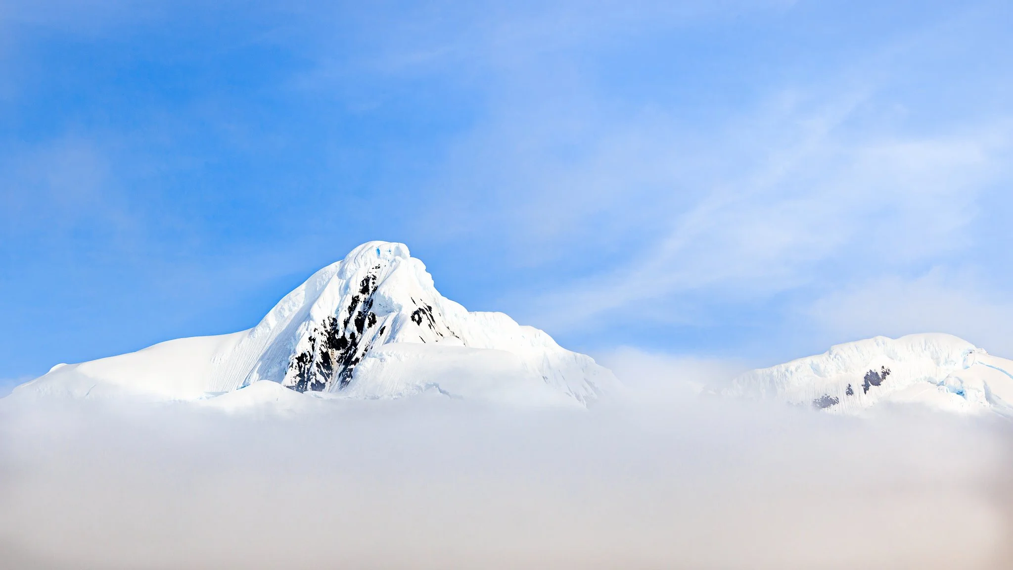 Echoes from the Wild: What Loss Taught Me About Living
