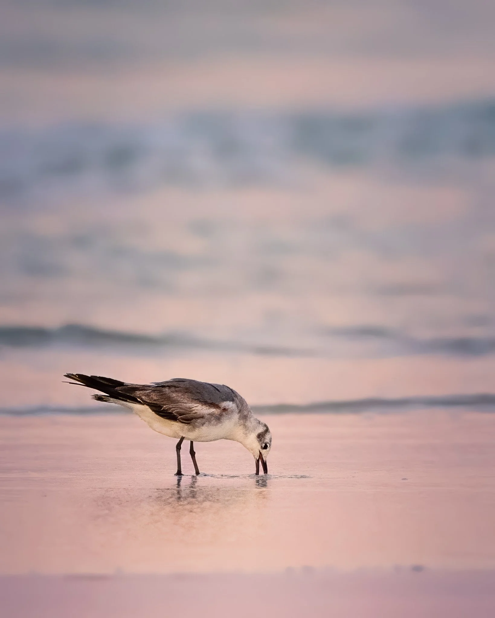 "Sunrise Reflection"