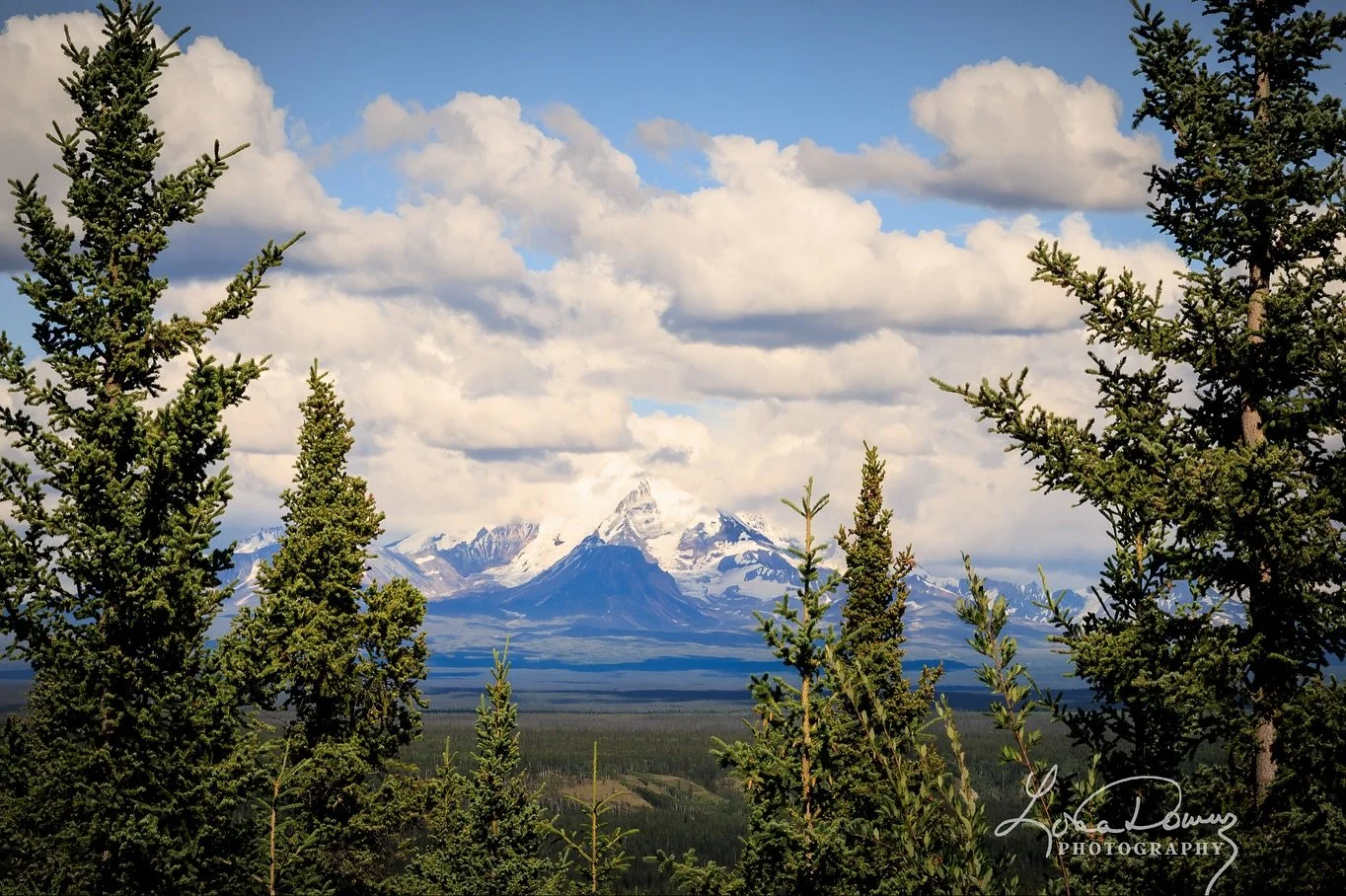 There&rsquo;s a stretch along the Richardson Highway in Alaska where the world just opens up.
On our way to Wrangell&ndash;St. Elias National Park, the spruce parted and the Wrangell Mountains rose in the distance &mdash; Mount Drum standing tall abo