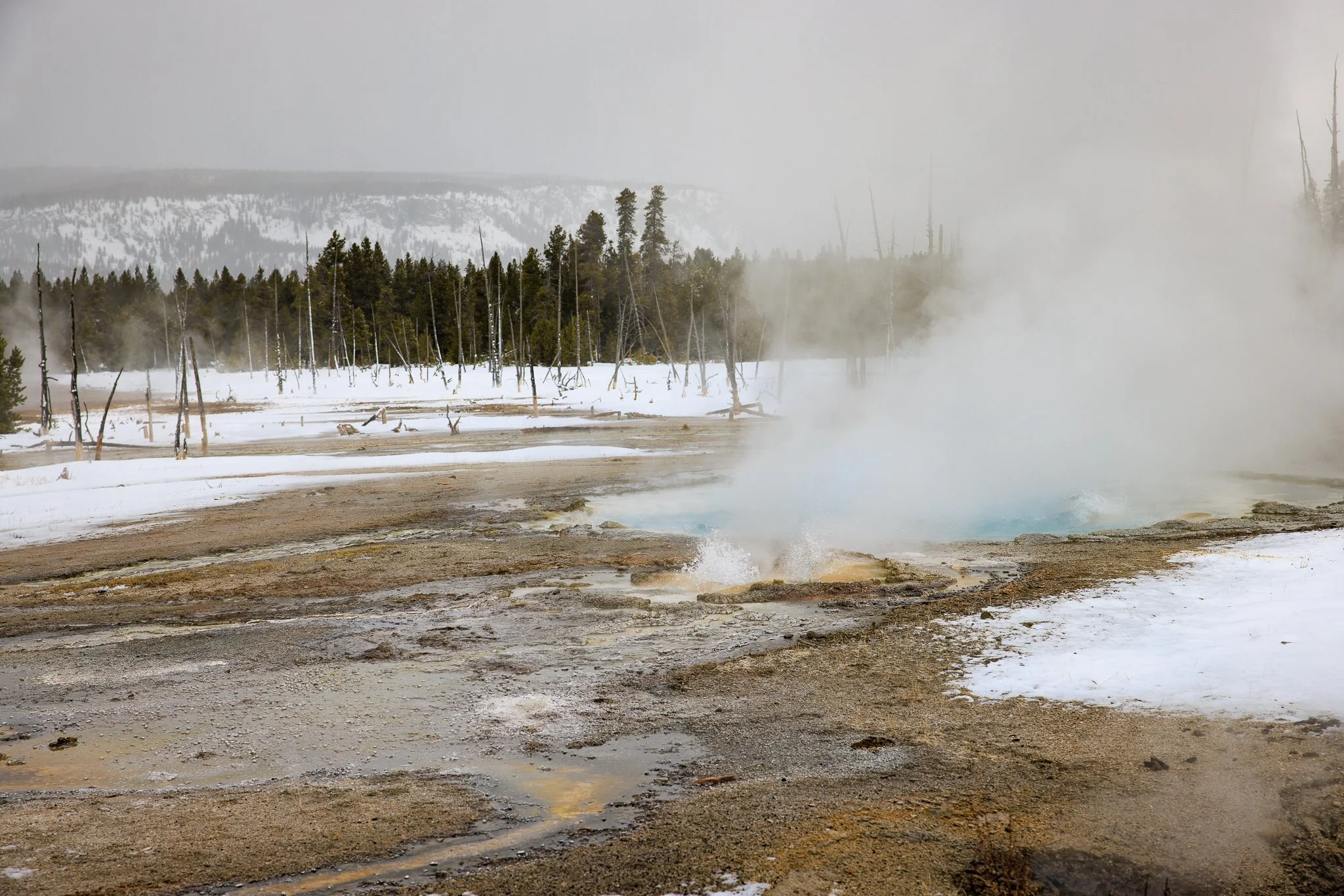   Where the earth breathes. Even in deep winter, the ground releases warmth—steam rising through the snow as a quiet reminder that Yellowstone is always moving beneath the surface.  