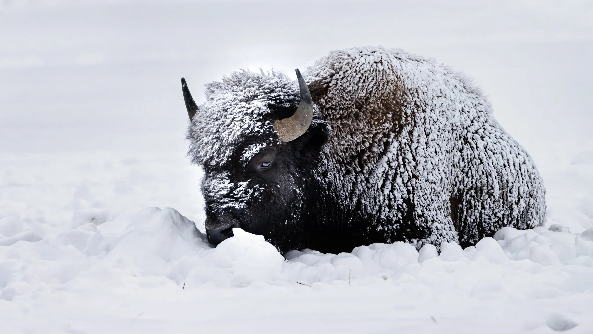   Resting is part of survival.  