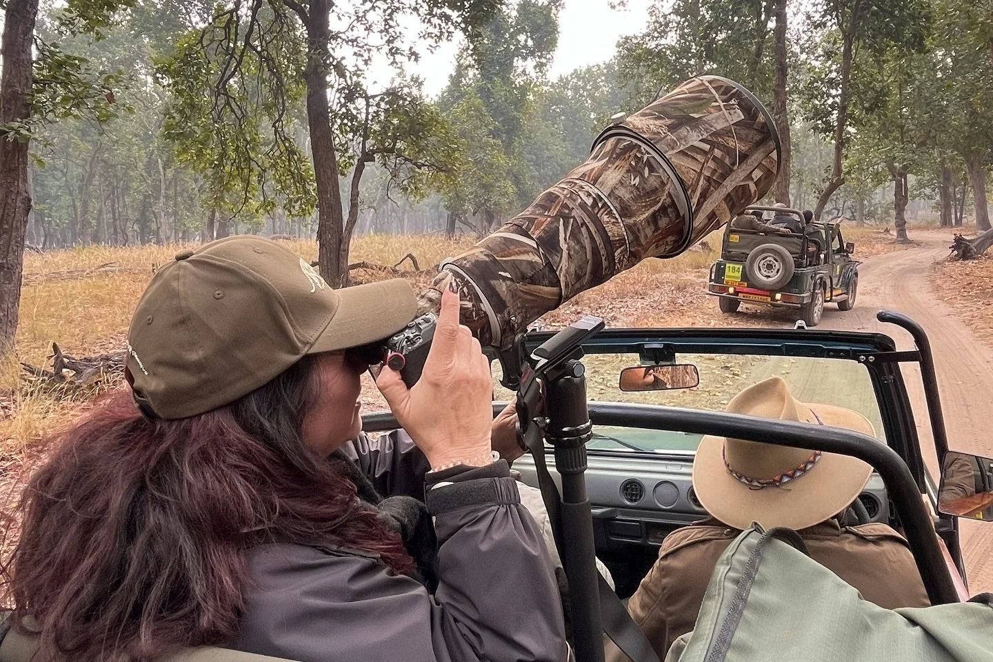 India.

Five days into our safari at Bandhavgarh National Park, and every game drive feels different.

Early starts. Long hours. Constant awareness.

We stop. Engines off. Listening. One warning call&mdash;from a deer or a langur&mdash;can change eve
