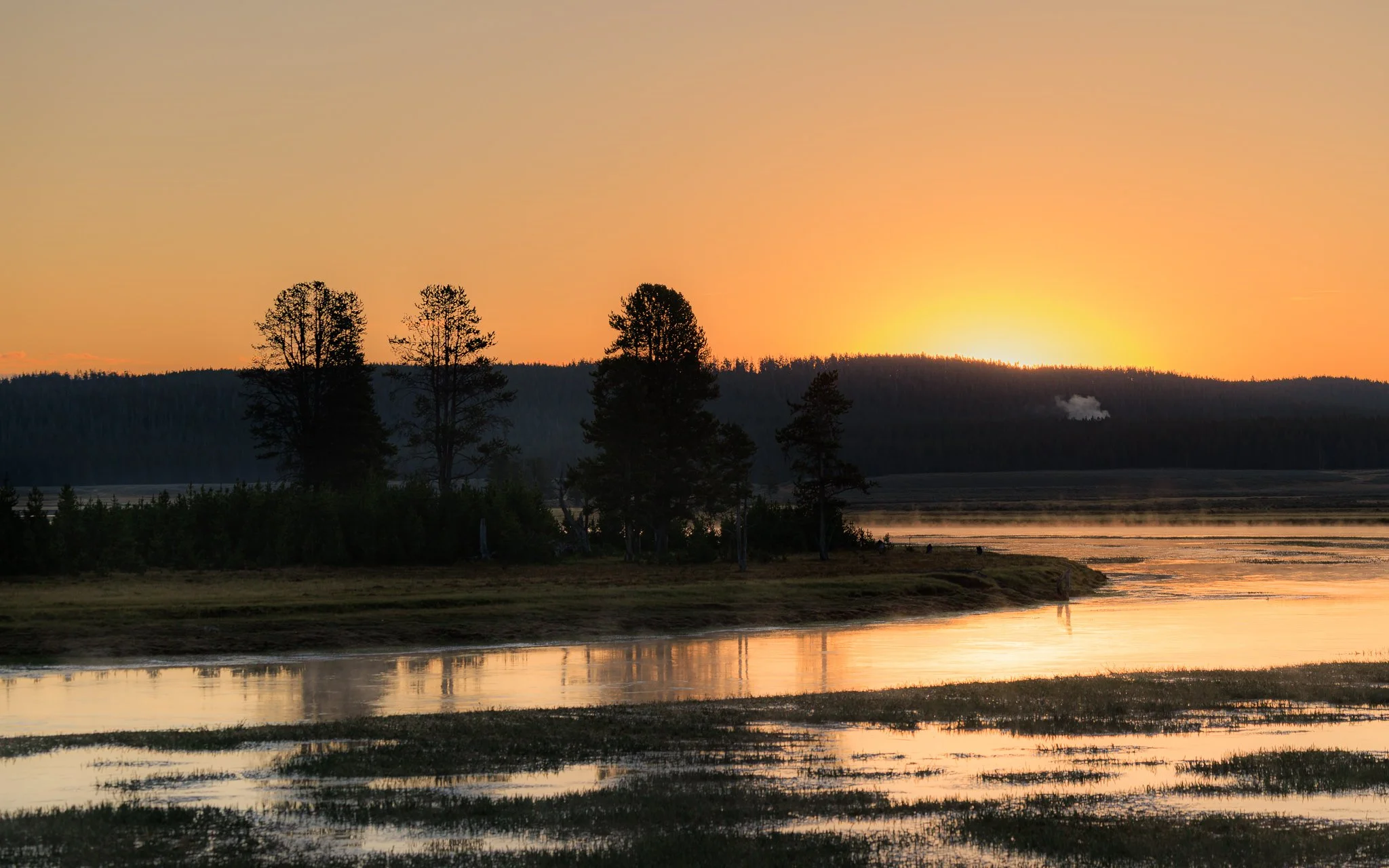 The sun rising over a forested ridge behind silhouetted pine trees, with the river reflecting the orange glow in Hayden Valley, Yellowstone National Park.