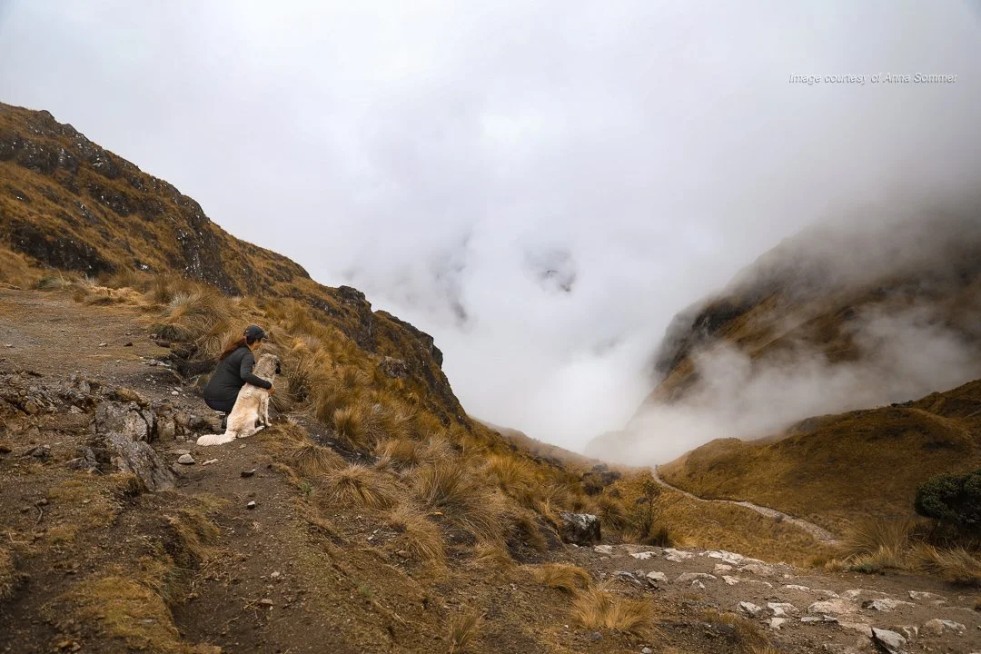 Hiker and dog gaze down Sacred Valley during Inca Trail hike.
