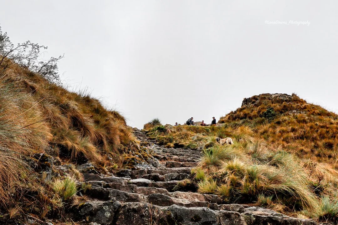 Final steep ascent to Dead Woman's Pass on the Inca Trail, reaching 13,692 feet. Experience the breathtaking views and physical challenges of this iconic trek in the Andes.