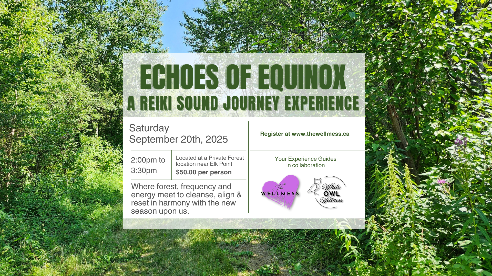 Echoes of Equinox - A Reiki Sound Journey Experience