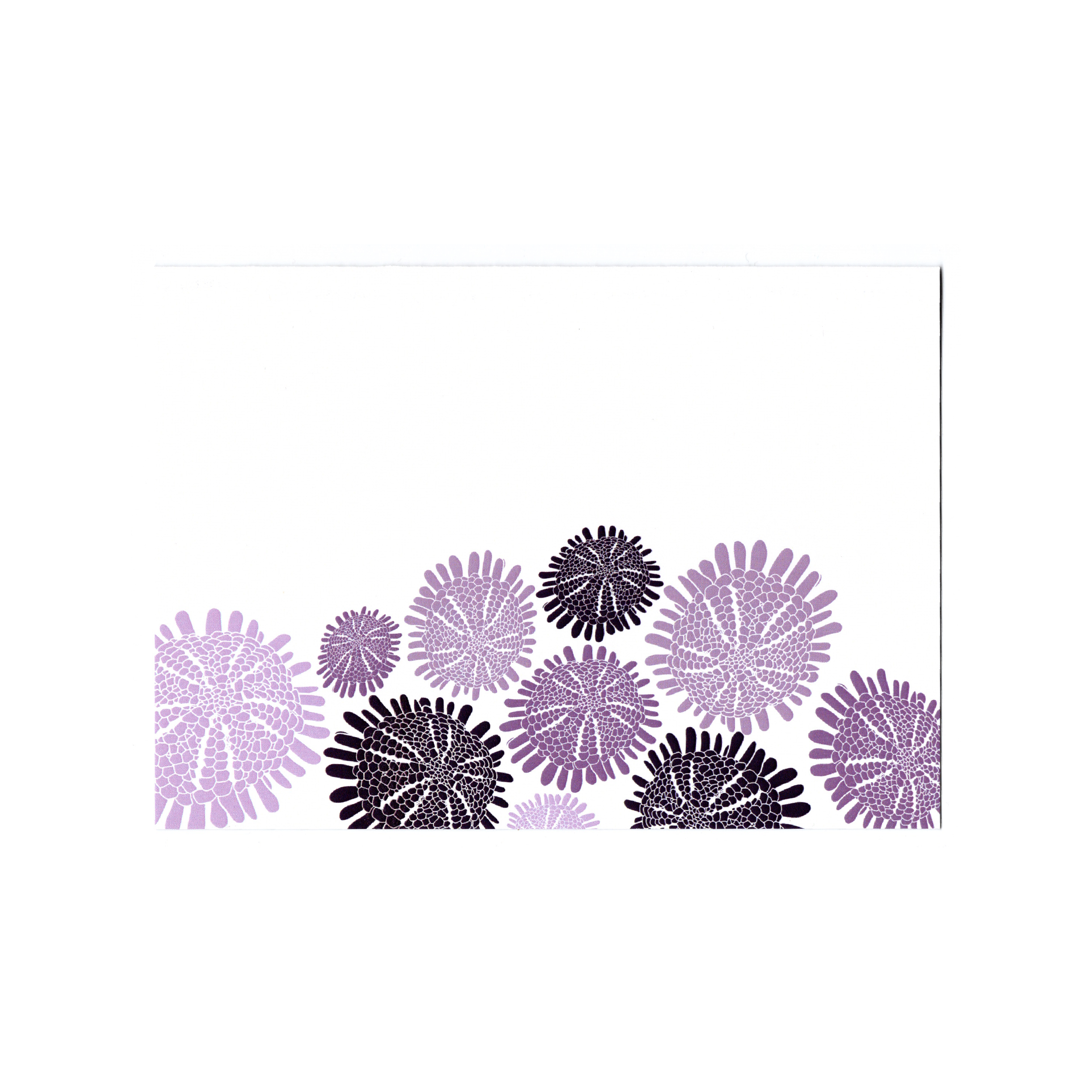 HÄ'uke'uke Card