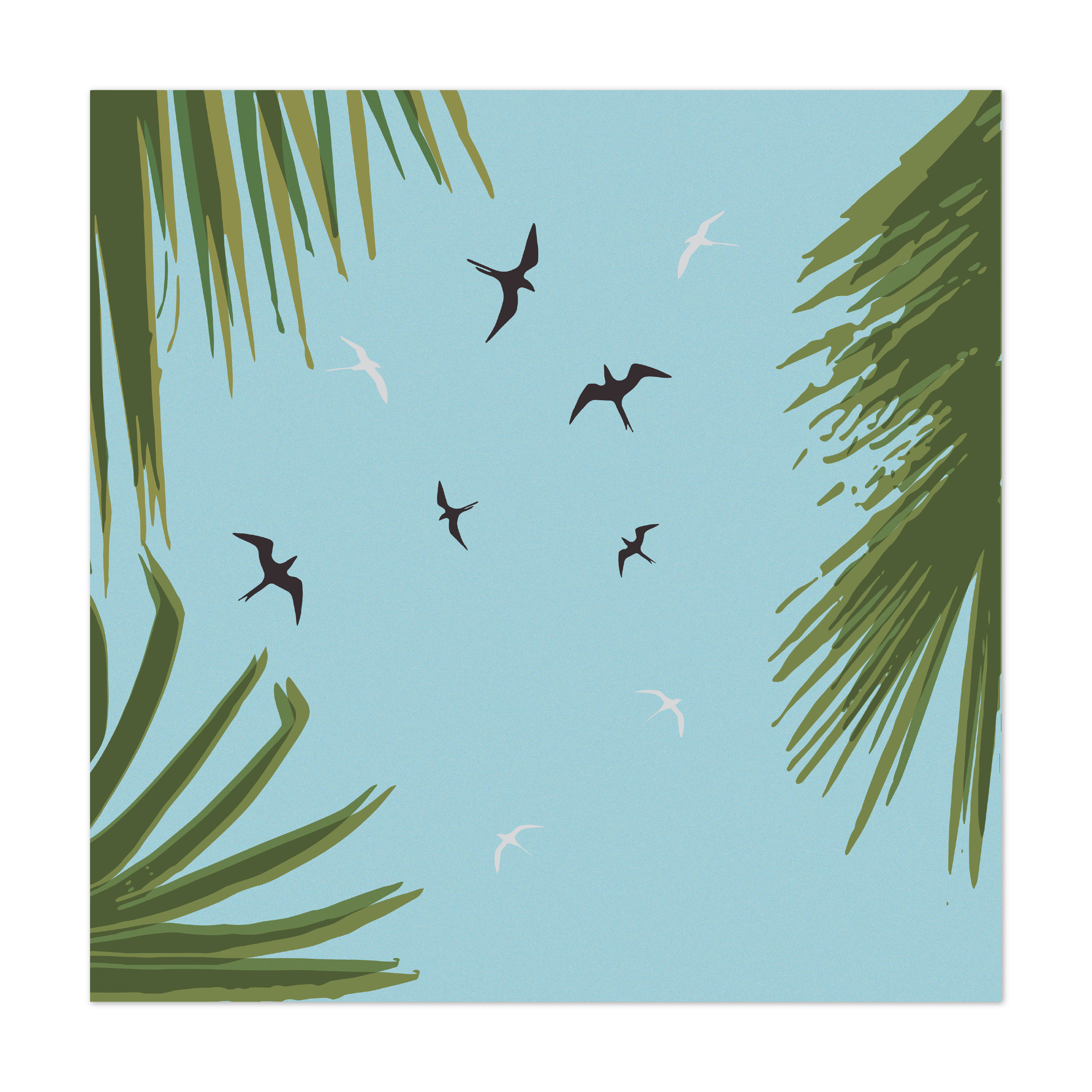 Iwa & Koa'e Print (2025)