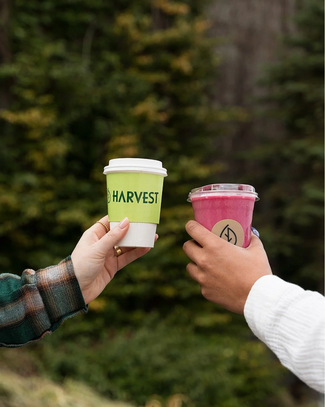 Smoothies that hit every craving. 💚

🥭 Tropical Turmeric
🍓 Strawberry Banana
🌱 Clean Greens
🍒 Berry Beet

Which one are you sipping today?