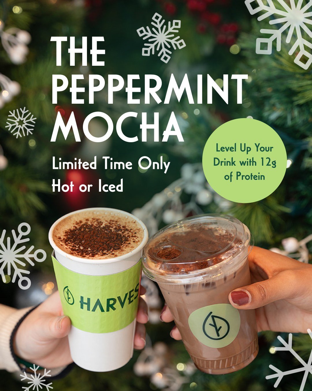 ✨ The Season of Giving is Here! ✨

Our beloved Peppermint Mocha is BACK starting today, and it&rsquo;s better than ever! ☕🍫

Rich espresso, dark VEGAN chocolate, and a refreshing hint of peppermint, available hot or iced. PLUS, you can add a coffee-