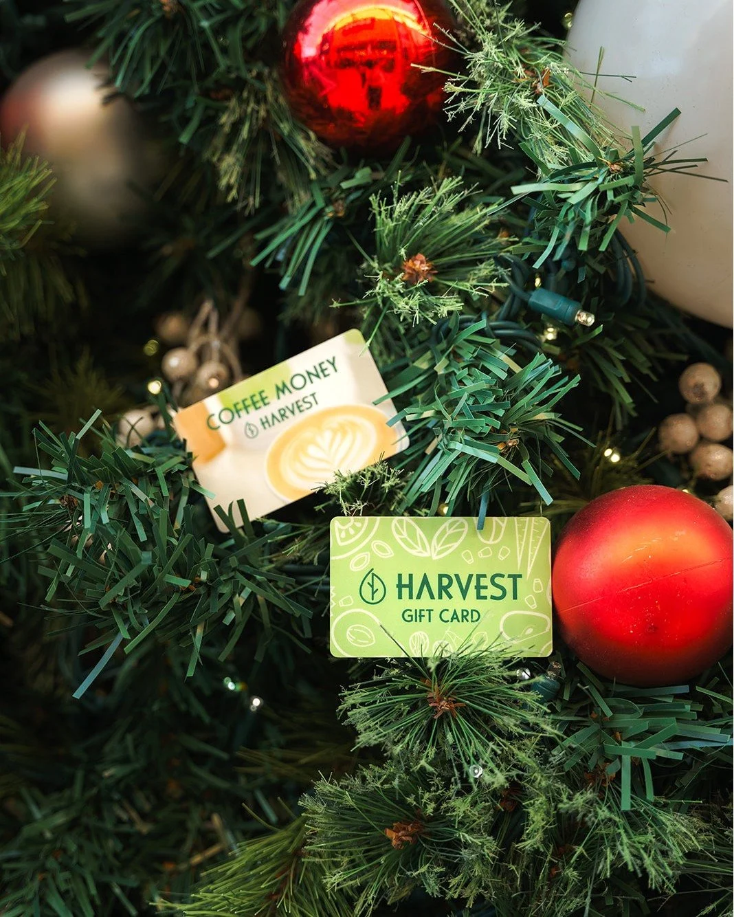 Give the gift of HARVEST. 🎁
Thoughtful, delicious, and always appreciated.

Whether it&rsquo;s for a friend, a coworker, a neighbour, or someone you just want to brighten up this season, our gift cards make it easy to share the goodness of fresh, ma