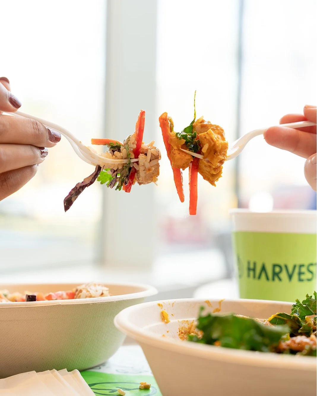Need a tasty break while shopping @shophsc? 🎄🛍️

Treat the family to our fresh, made-from-scratch meals and drinks that keep everyone refreshed and energized! 🥗☕

HarvestCleanEats | HalifaxEats | FoodCourtFinds | HealthyEats | HolidayVibes | Halif