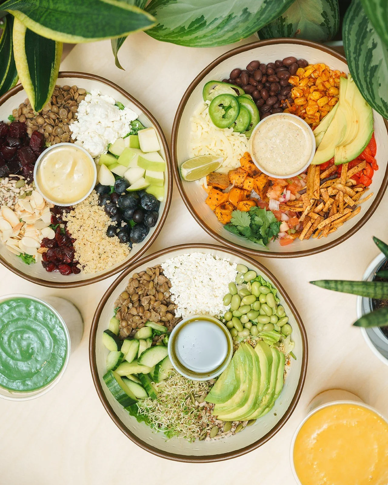 HARVEST bowls, made fresh every day 🥗

Packed with chef-crafted flavours, our bowls are the perfect choice for lunch, dinner, or a mid-day boost. Made from scratch daily with the freshest ingredients, they&rsquo;re healthy, satisfying, and crave-wor