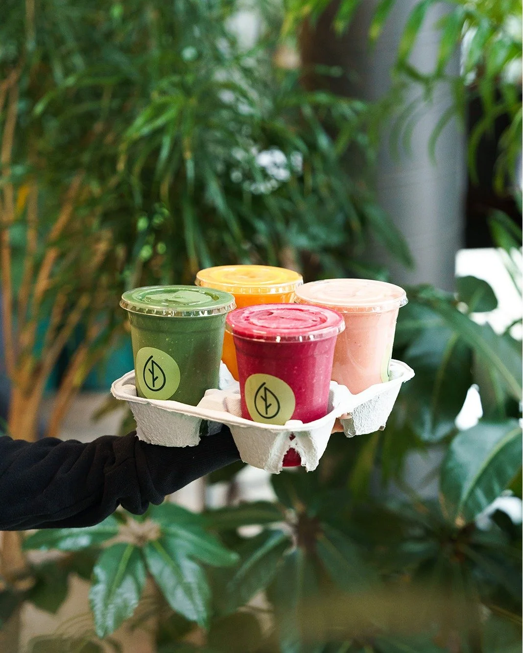Wrap up the holidays with something tasty and refreshing! Our smoothies are quick, convenient, and full of flavour. Perfect for a cozy winter treat or a post-holiday pick-me-up. 💚

Which one&rsquo;s calling your name today?