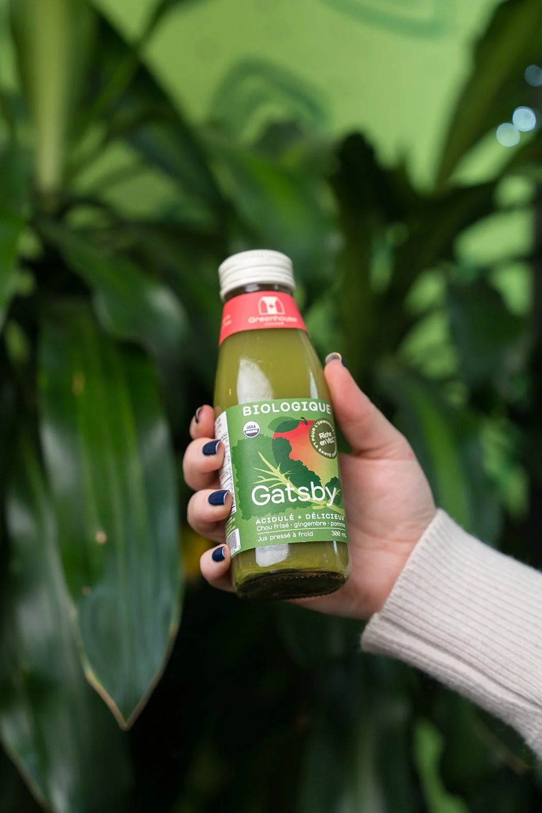 HARVEST DECEMBER 2025-19.jpg