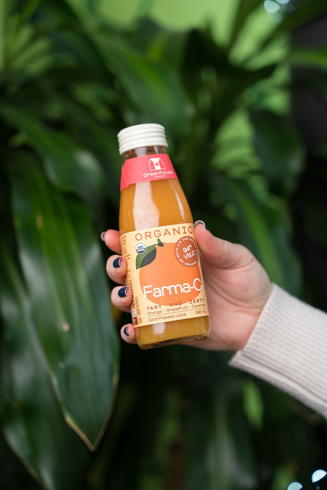 HARVEST DECEMBER 2025-20.jpg