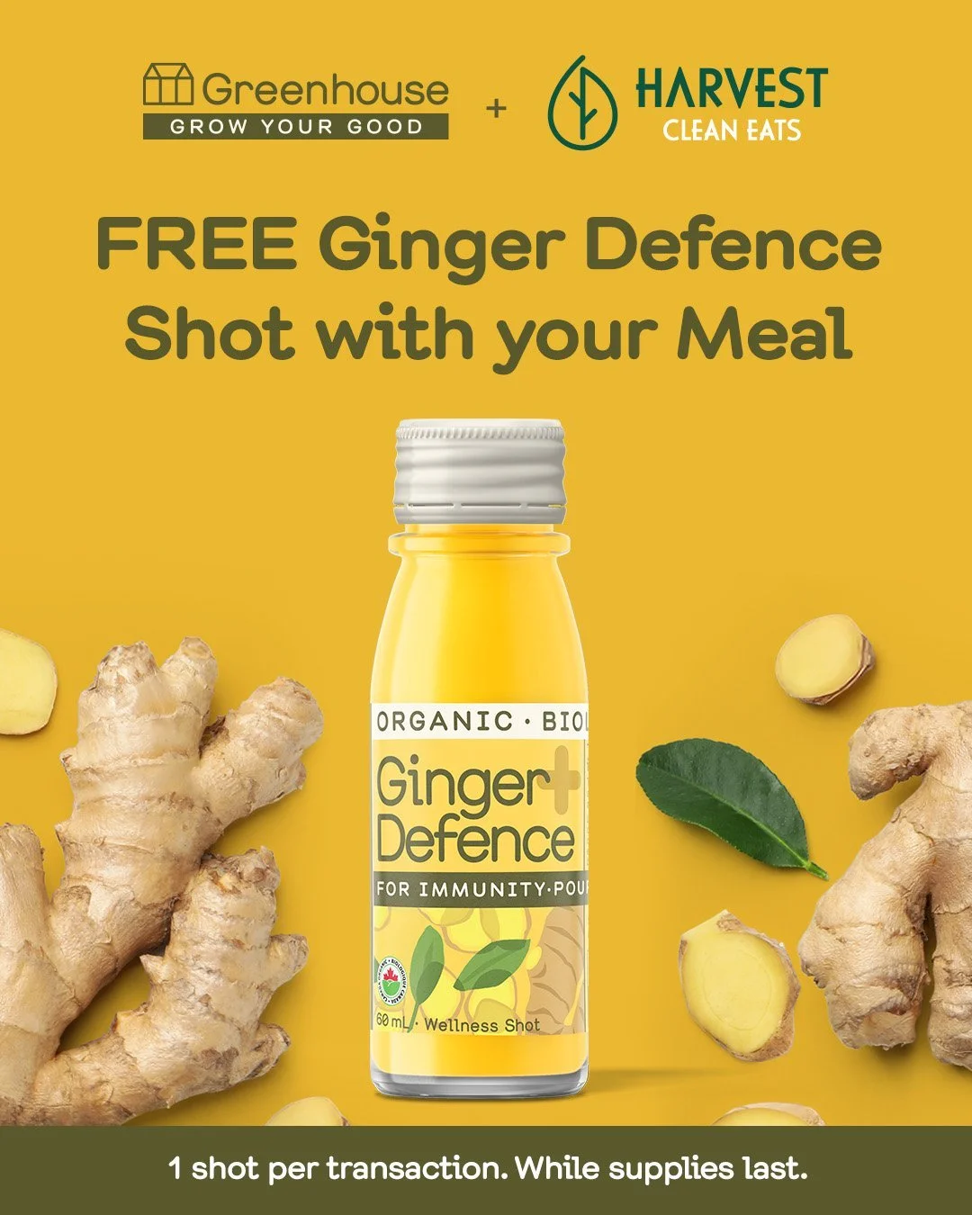 Celebrate the launch of @greenhousejuice at HARVEST! 🫚🥳 

For a limited time, enjoy a complimentary Ginger Defence shot with every order from Feb 26-March 1 (while supplies last).

Ginger Defence is the perfect immunity booster: packed with organic