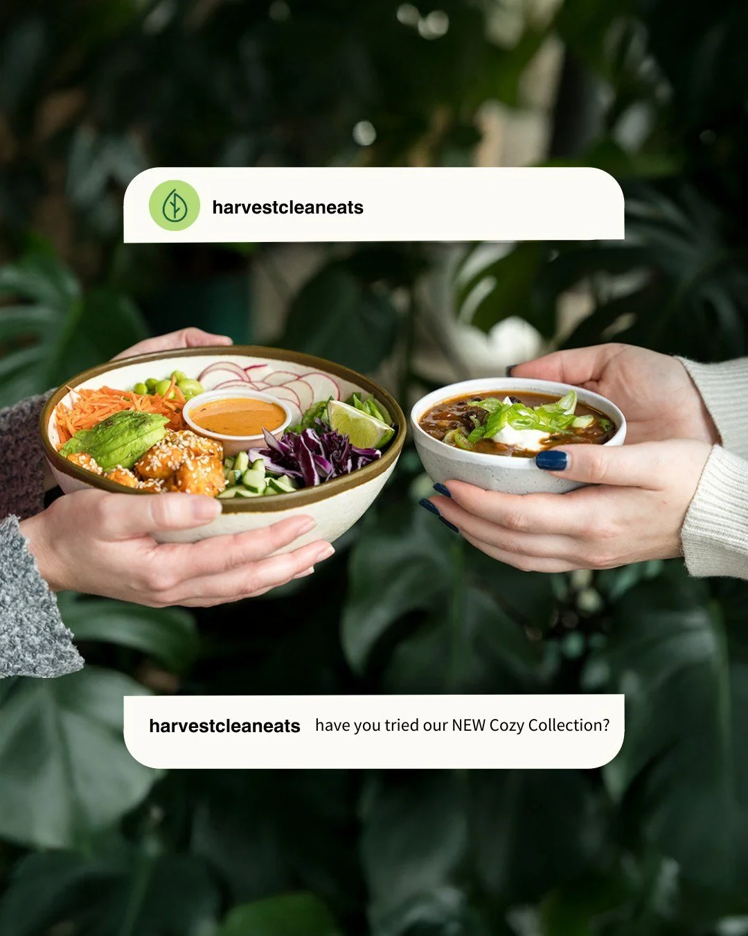 Every ingredient has a purpose. 🫘🍣

Our Chili and Spicy Miso Salmon Bowl bring warmth, balance, and big flavour. Made from scratch and perfect for cozy season!