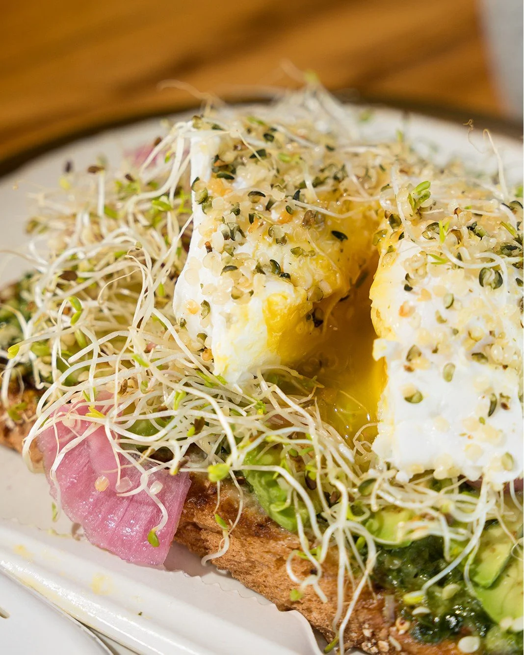Avocado toast, done right 🥑

Fresh, simple, and made even better with a coffee or muffin on the side.

What&rsquo;s your perfect HARVEST breakfast combo?