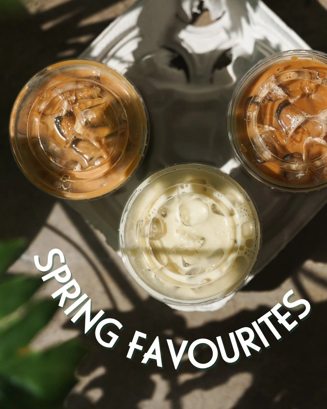 Current spring lineup 🍵🌱

Fresh favourites we keep coming back to, all season long.

What are you reaching for this spring?