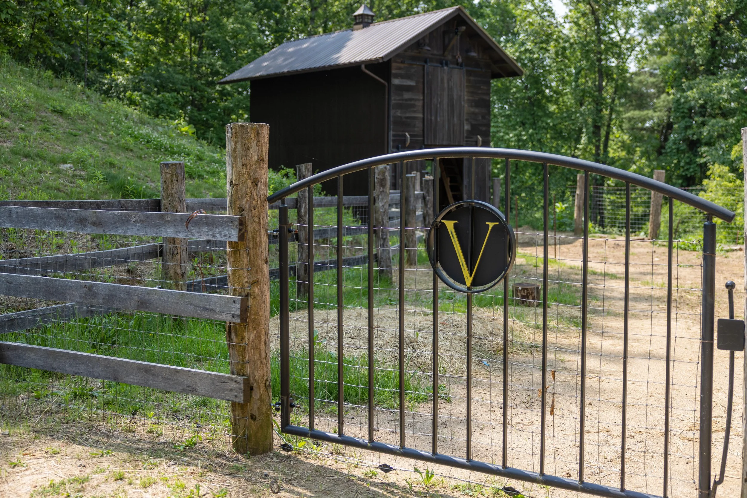 262 Starling Pass Preview-6.jpg