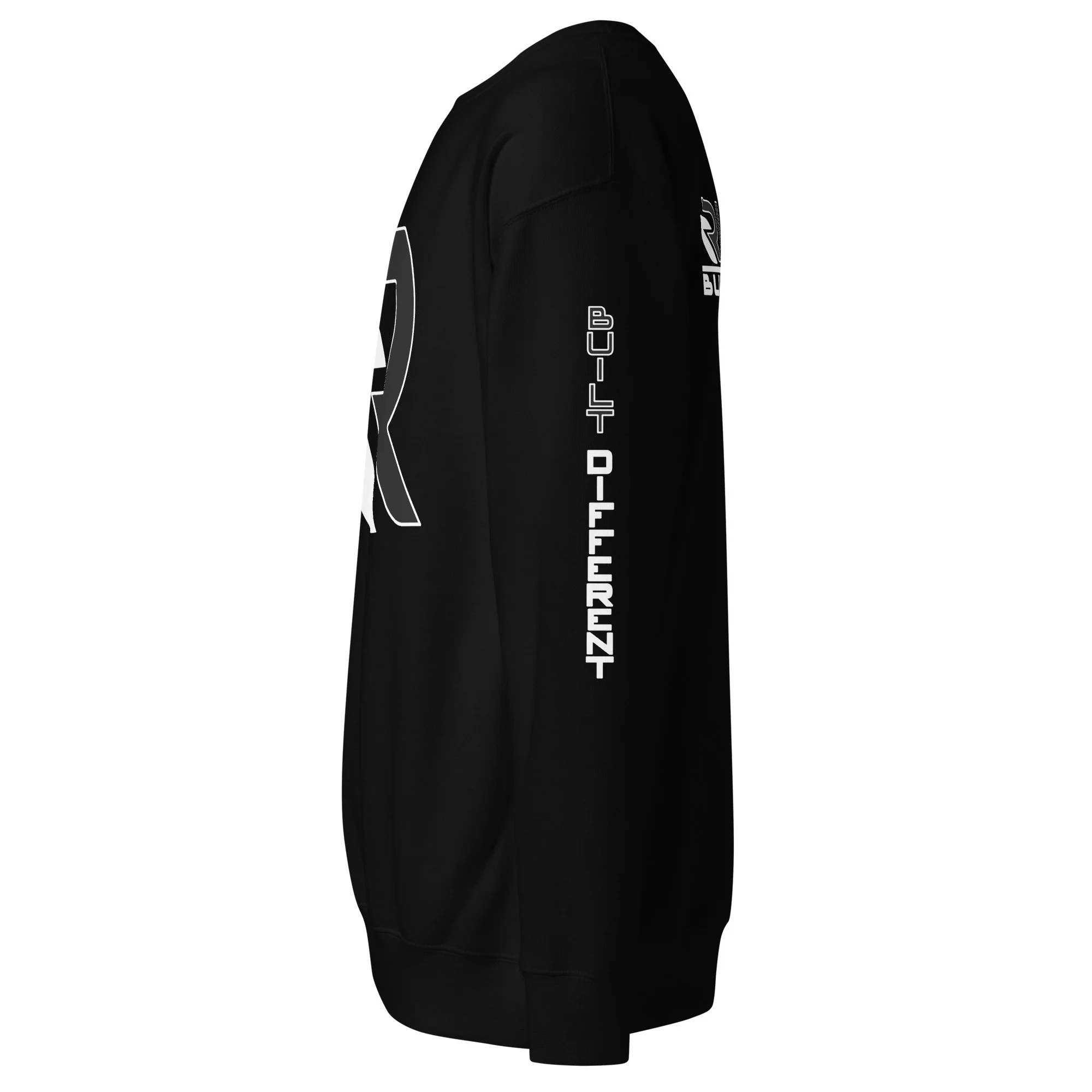 unisex-premium-sweatshirt-black-left-6898e1e85f846.jpg