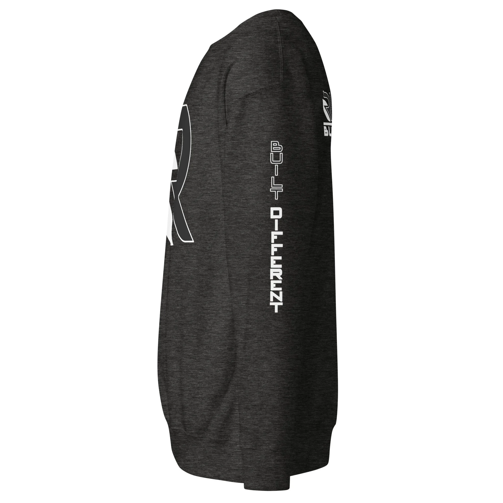 unisex-premium-sweatshirt-charcoal-heather-left-6898e1e86134f.jpg