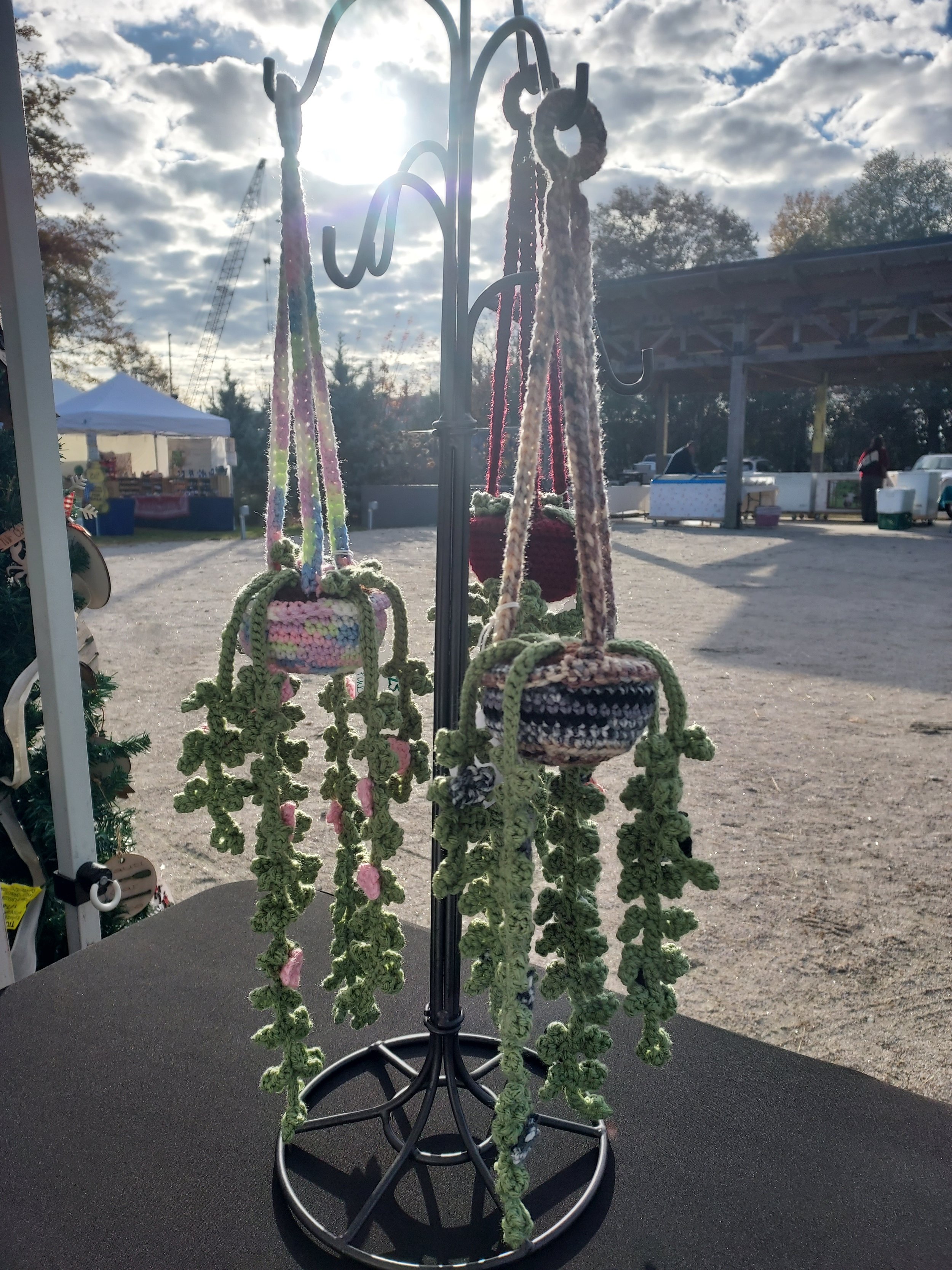Plant Display.jpg