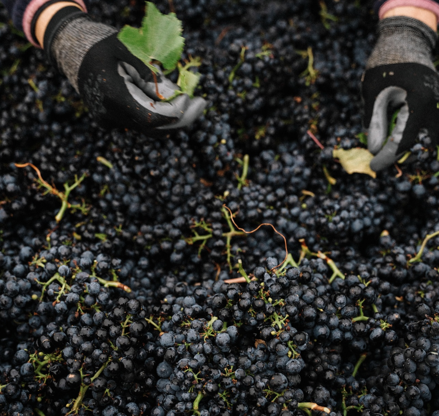 Screenshot 2026-02-28 at 10.02.29 PM.png